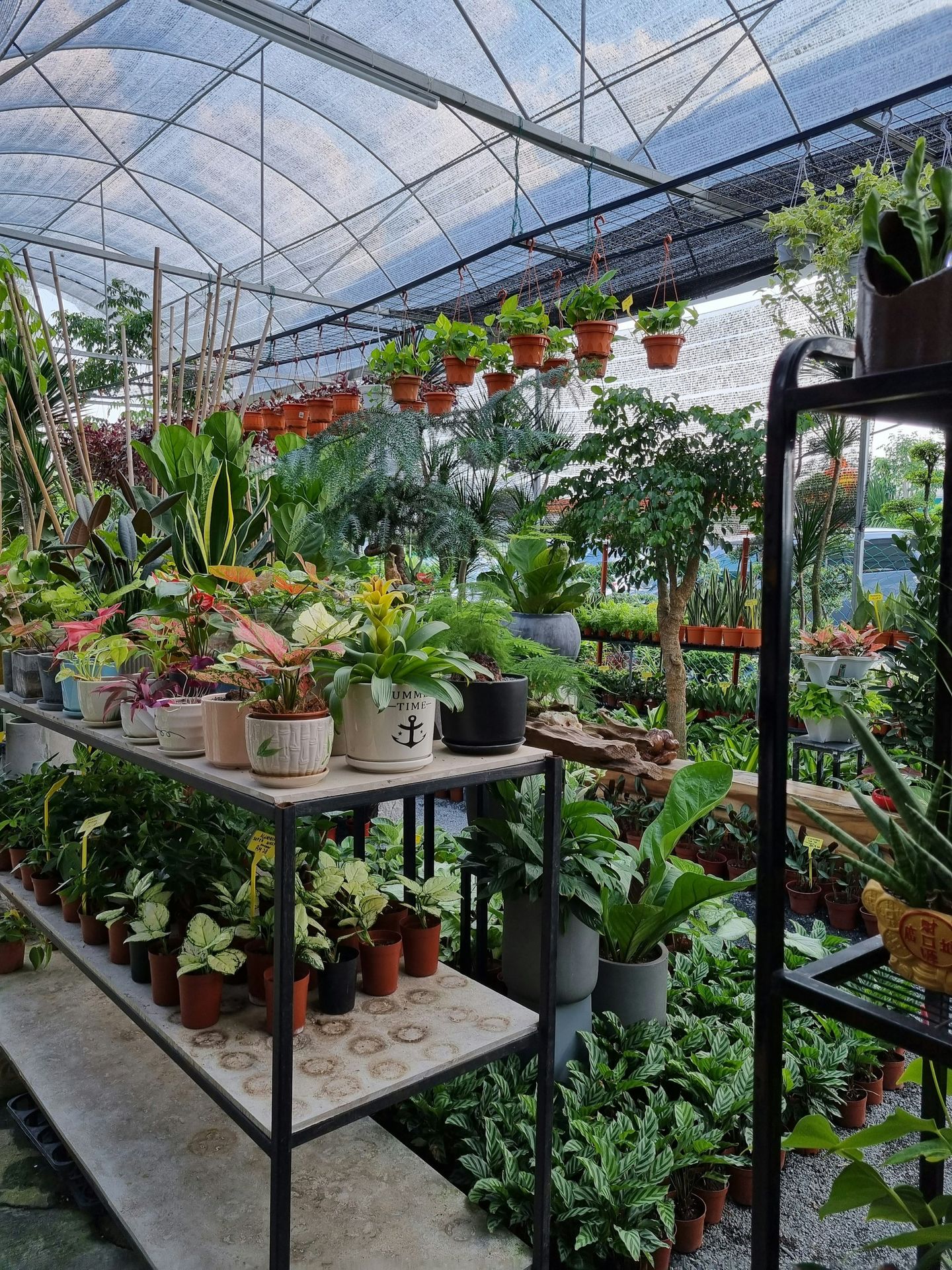 Plant Nursery 